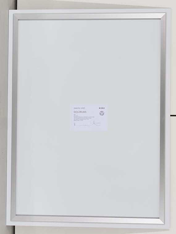 Damien Hirst - Rueckseite