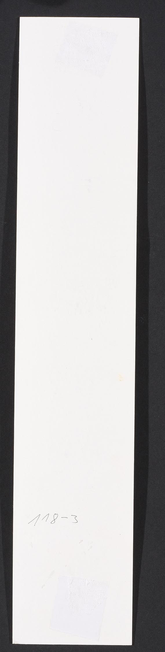 Cornelia Schleime - Rueckseite