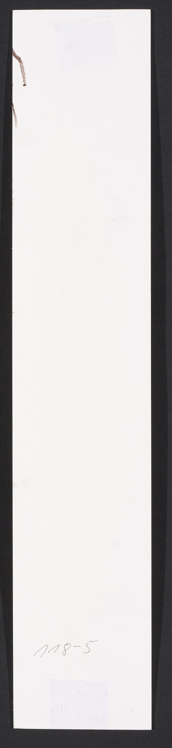 Cornelia Schleime - Rueckseite