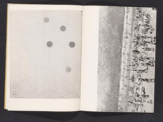 Sigmar Polke - Zustand